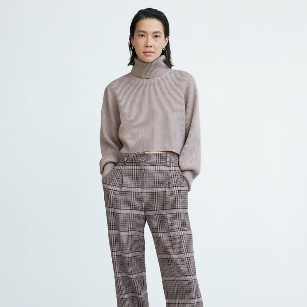 Aritzia Rebecca Turtleneck Sweater